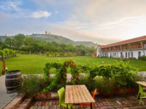 Hotel Ryzlink Hotels in Mikulov