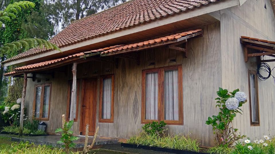 Surya Guesthouse Bromo