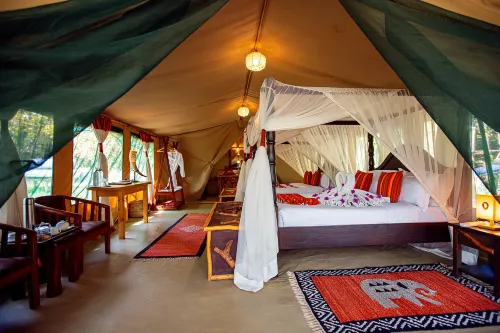 Serenity Mara Legends Camp