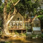 The ForRest Peace Forest (Mae Kampong) - navetta aeroportuale