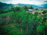 Star Bish Mount View