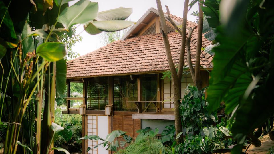Harmony Botanical Garden Stay - 300 Plant Species, Natural Stream and Small Pool