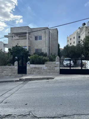 olive tree hostel