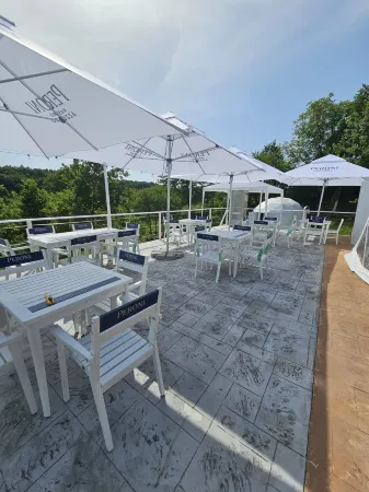 SKY DOME Отели в г. Somcuta Mare