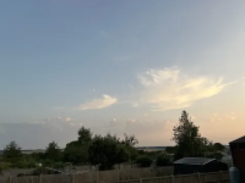 The little flowers home