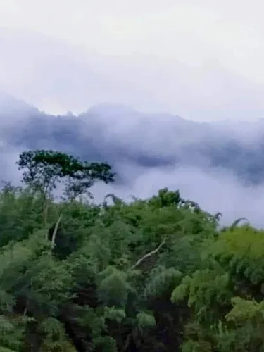 รูปภาพของเพชรมณีกาญจน์ บีช รีสอร์ท