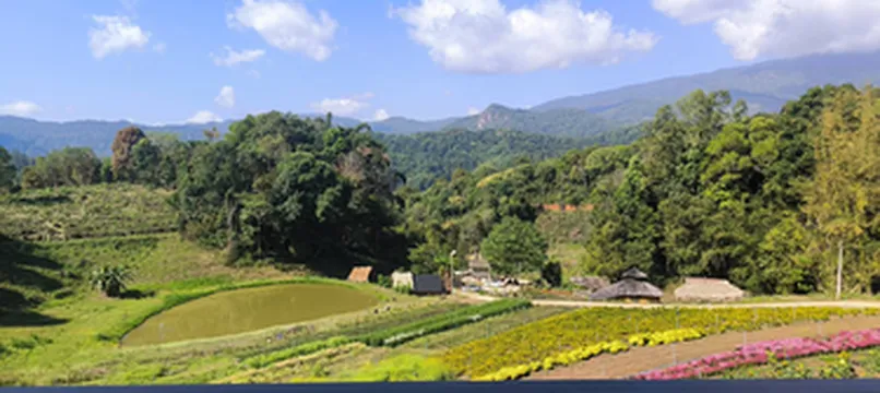 รูปภาพของบ้านไม้ 3