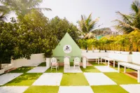 Zen Colive - Bintang 3