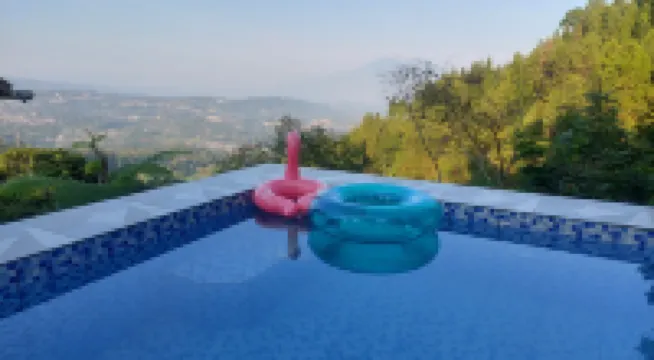 Zoya Hills