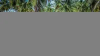 Tamarind Tree Way Side Amenities