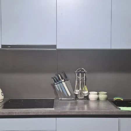 Cozy 1 bedroom apartment in the city center