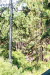 Velora Hill Ella | Panoramic Hilltop Stay #103 - บังกะโล