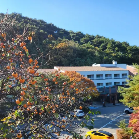 Suanbo Park Hotel