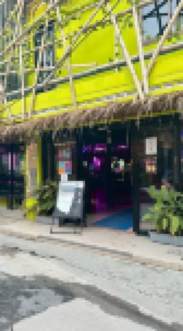 迪斯科動物園酒吧和旅館