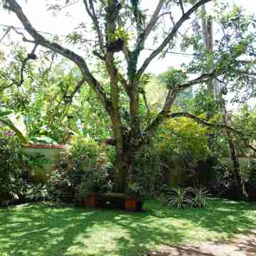 Unawatuna Villa Bird Nest- (Garden Apartments) Hotel Exterior