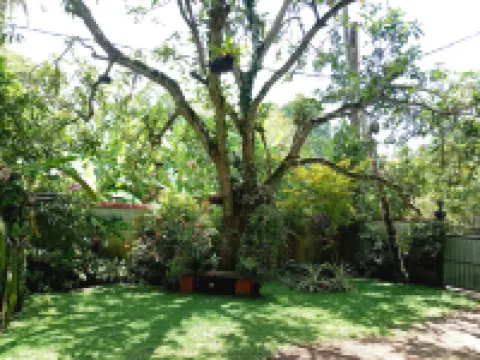 Unawatuna Villa Bird Nest- (Garden Apartments)