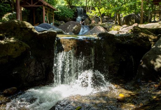 Toom Sara Forest Stay