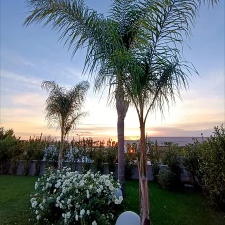 Hotel Ohana Rome
