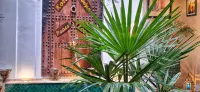 Riad Belikoss Pool & SPA - Pool