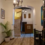 Aurelia Zanzibar