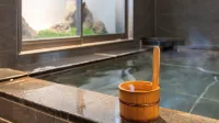 Super Hotel Premier Chitose Natural Hot Spring