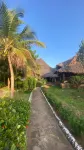 Mjanja Manor - Wifi