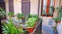 Charming apartment, close to everything in Milan - ペット同伴可