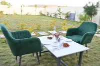 The Dollar Hotel & Resort Hotels in 