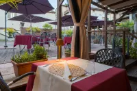 Patriarca and Wellness
