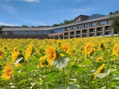FURANO HOTEL (Renewal Opening on May, 2025)