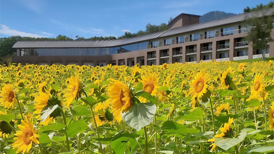 FURANO HOTEL (Renewal Opening on May, 2025)