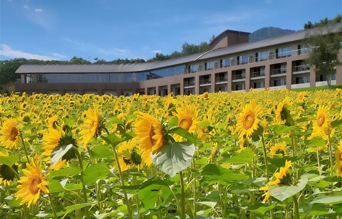 FURANO HOTEL  (Renewal Opening on May, 2025)