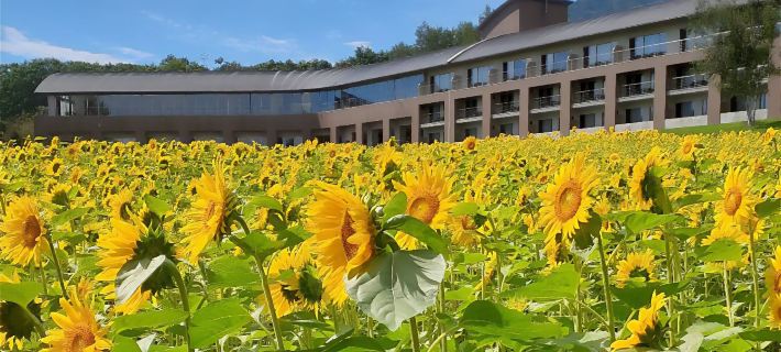 FURANO HOTEL Hotels in Furano