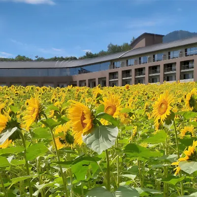 FURANO HOTEL  (Renewal Opening on May, 2025) Hotels near Leisure Guide Asobiya