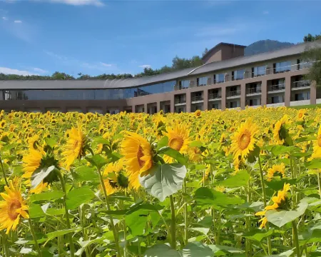 FURANO HOTEL Hoteles en Furano