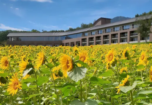 FURANO HOTEL