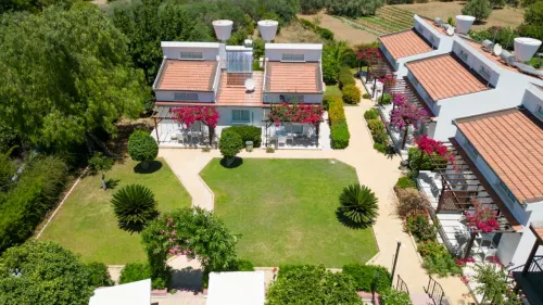 Citrus Tree Gardens