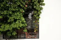 home Chiang Mai Hotel - 新規開業