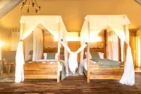 Malaika Seronera Luxury Camp Hotels in 
