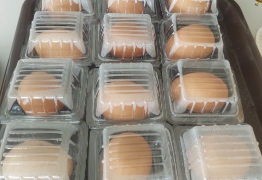 Top Place Pakchong의 현대적인 외관