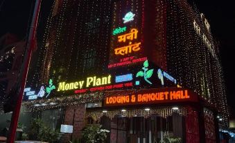 Hotel Money Plant