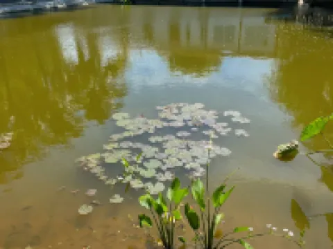 Phimai Pond House โรงแรมในอำเภอ พิมาย