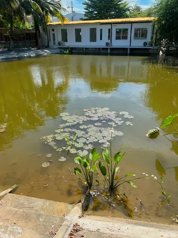 รูปภาพของPhimai Pond House