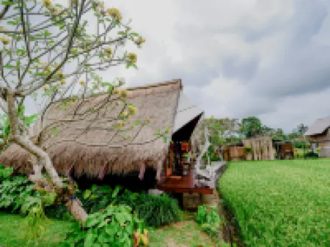 Ubud Rice Field Stay - Mahari by WAHM Villa Alamanda周辺のホテル