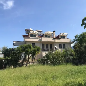 The Tulip House