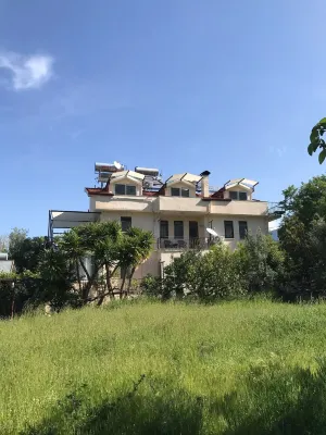 The Tulip House
