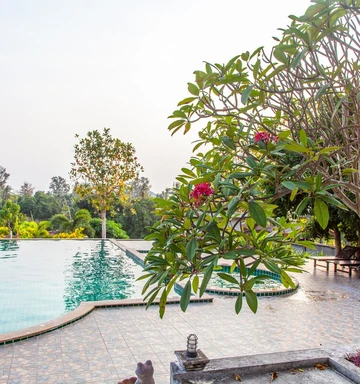 รูปภาพของdream villa