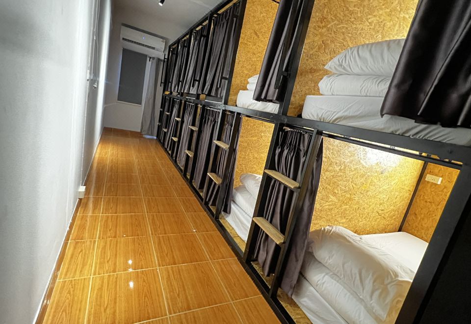 소프트박스 호스텔