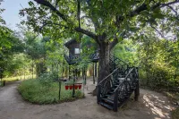 Tree House Hideaway - Homestays