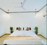 Agonda Ivory Rooms - 民宿